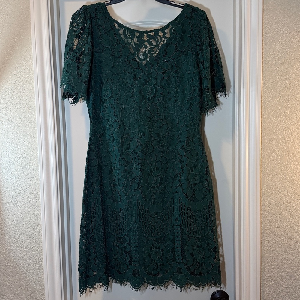 Lulu's Forest Green Lace Mini Dress